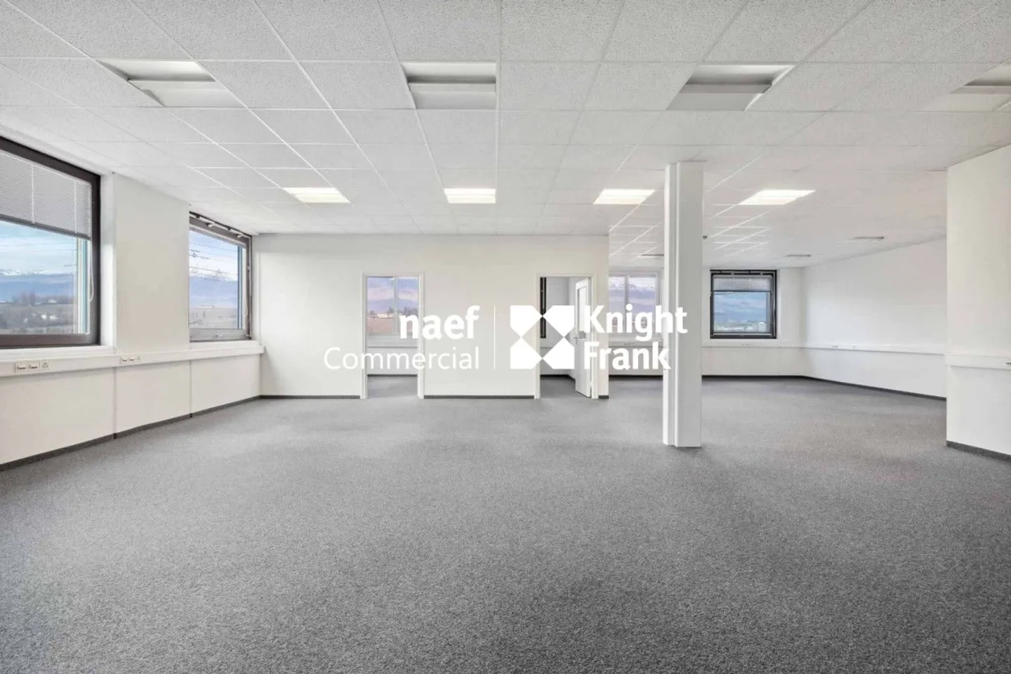 Superficie di 377 m² nella zona industriale ZIMEYSA di Meyrin - Foto 4 di 8