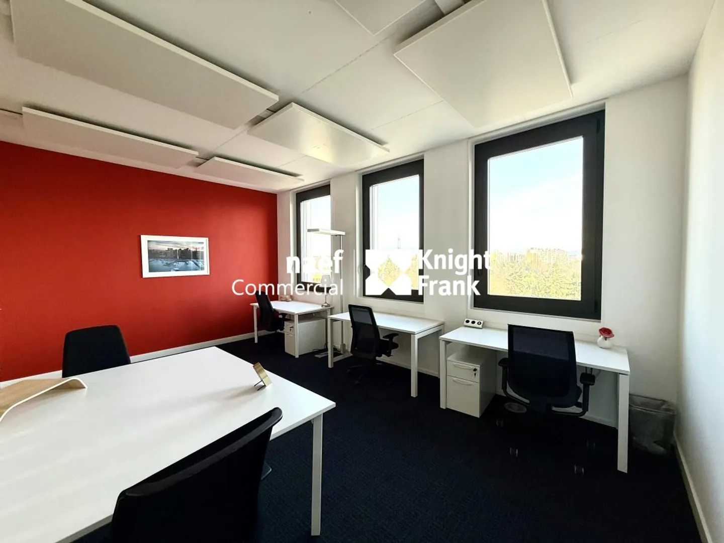 Superb furnished offices of 400m2 - Mont-Blanc view - Close to Airport - Photo 4 of 8
