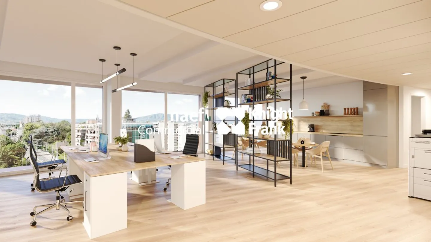 Lancy - ultimo piano in affitto, 517 m² di uffici divisibili a partire da 165 m² - Foto 5 di 12