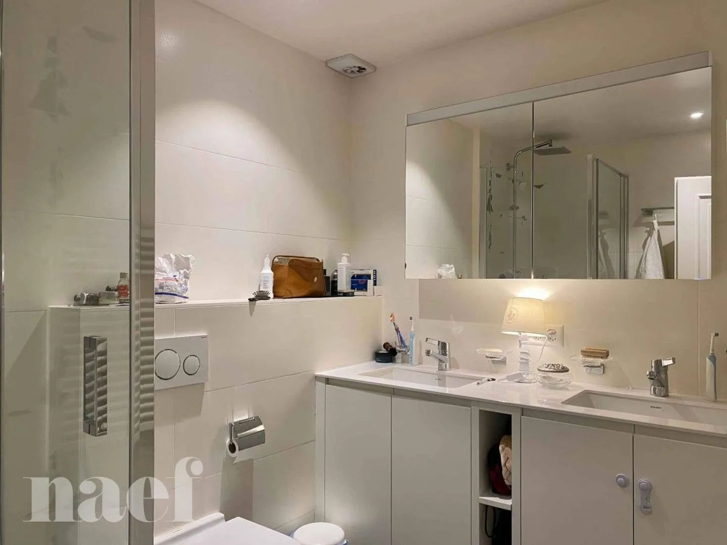 Nel cuore del vecchio Carouge - Ristrutturato con giardino - Foto 9 di 13