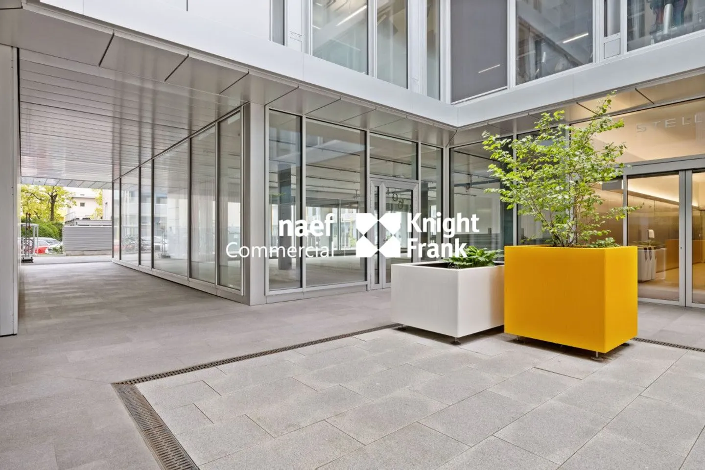 Stellar 32 - Grande arcade di circa 420 m² disponibile! - Foto 2 di 5