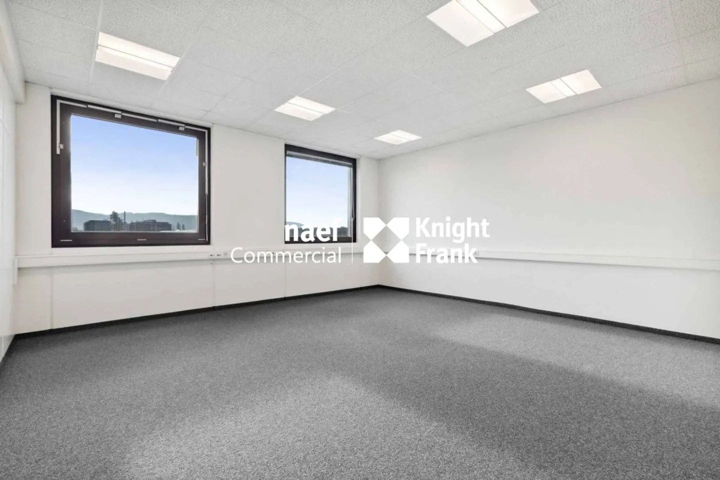 Superficie di 377 m² nella zona industriale ZIMEYSA di Meyrin - Foto 7 di 8