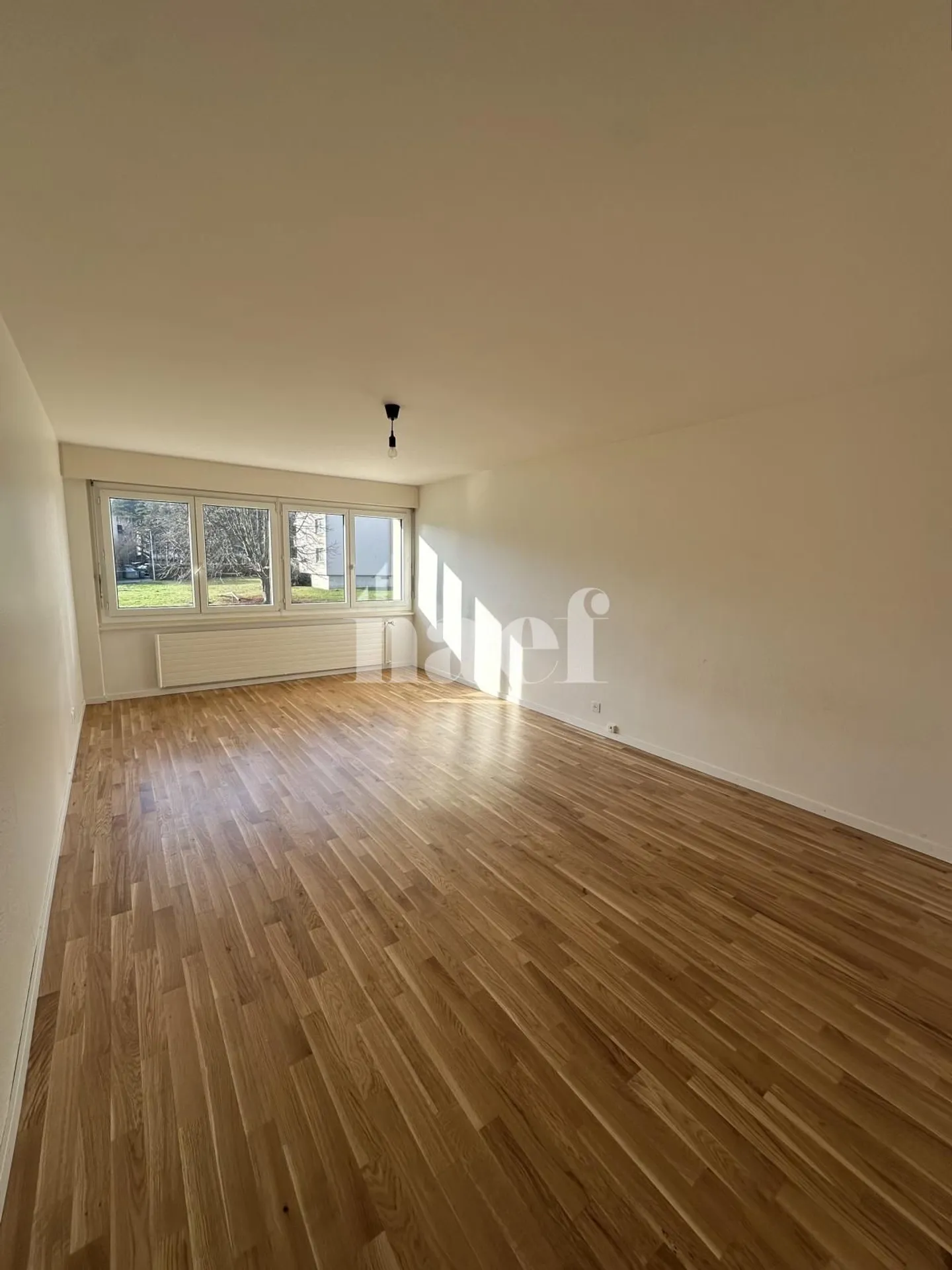 Ground Floor Studio - Photo 1 of 3