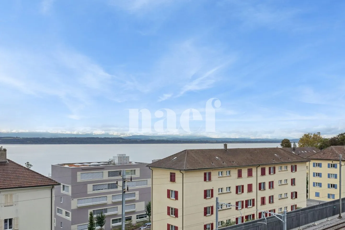 Spacious Apartment in the Heart of Bellavista - Photo 2 of 12