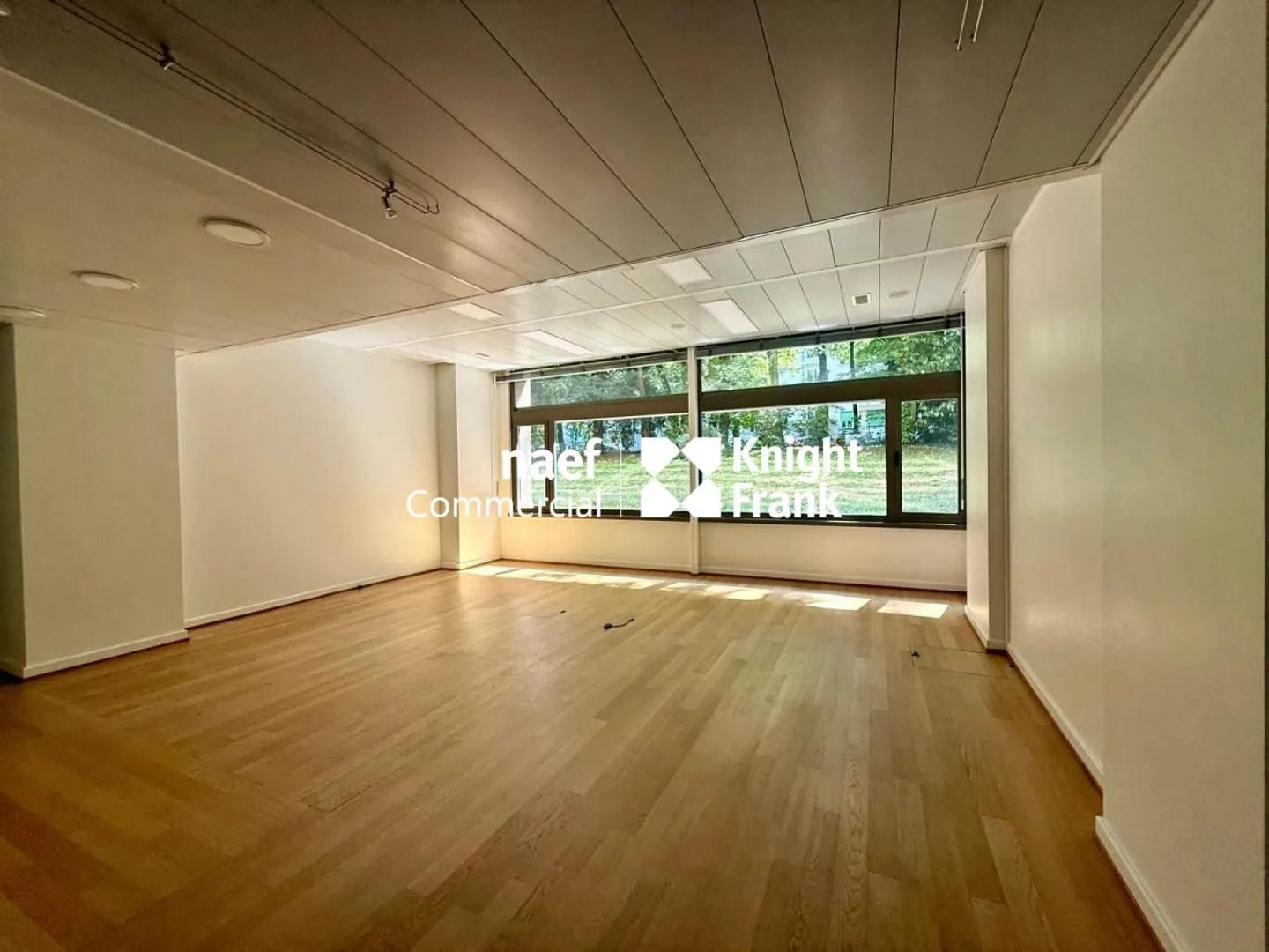 Modern Office Space in Geneva - Photo 4 of 9