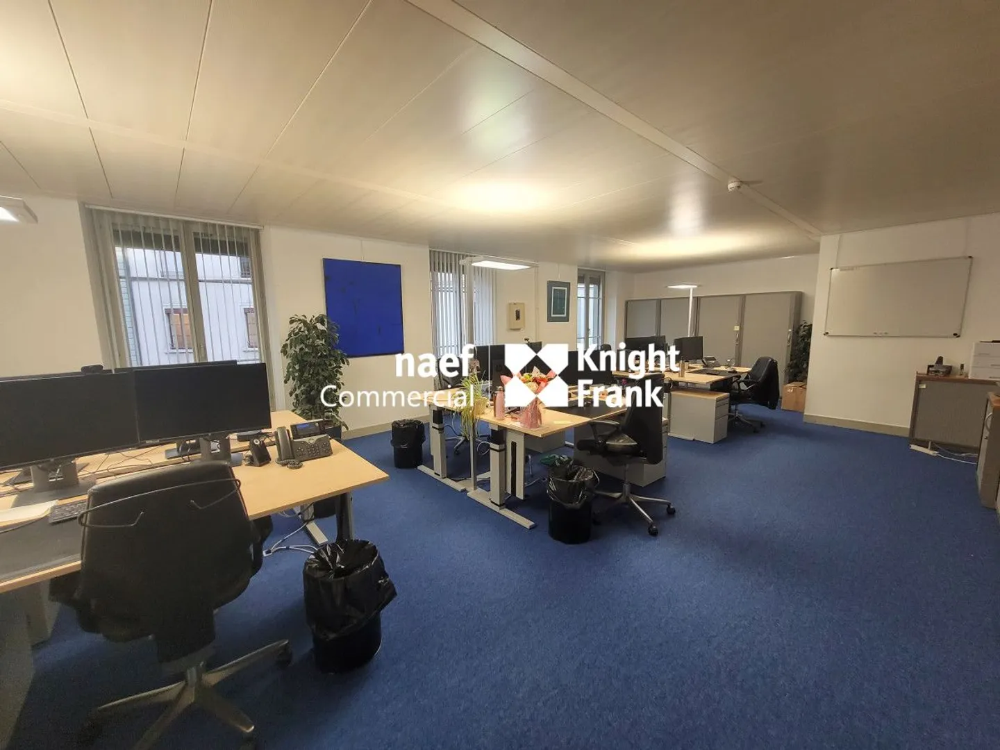 Eaux-Vives - Bureau de 244 m² à côté du lac - Photo 3 sur 6