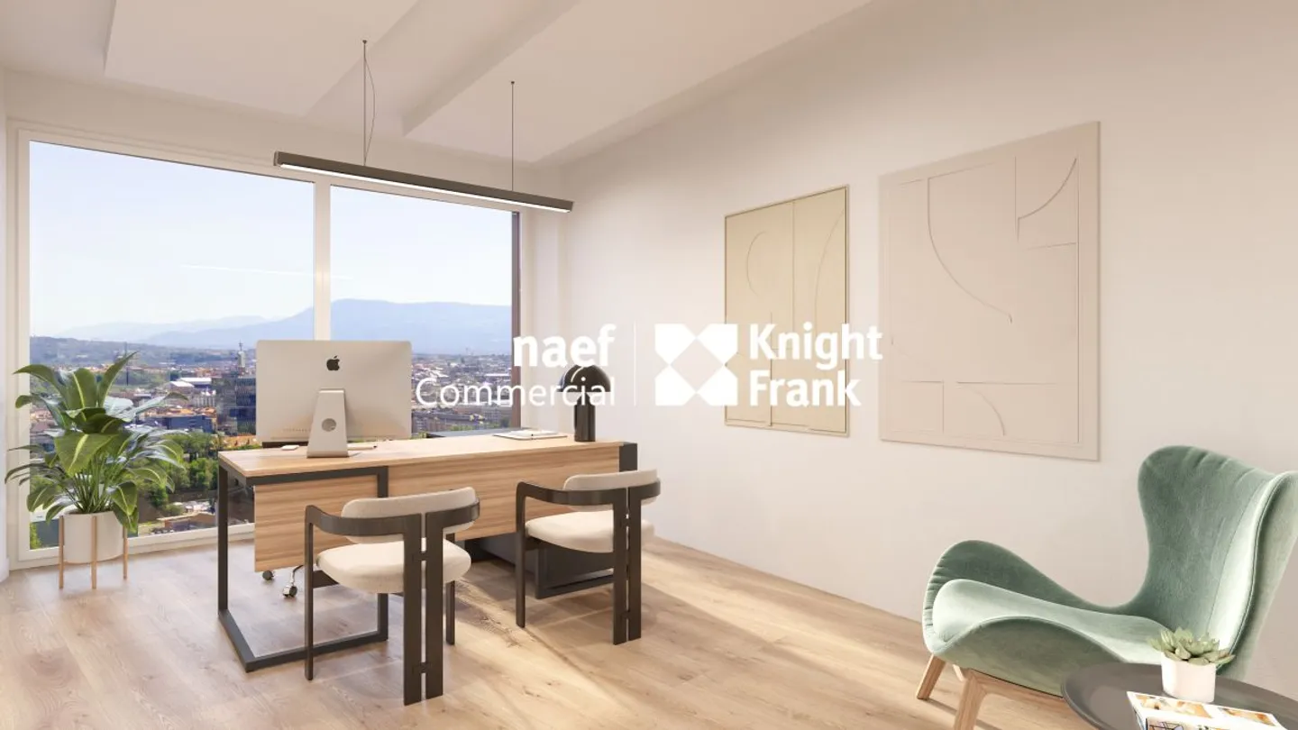 Lancy - ultimo piano in affitto, 517 m² di uffici divisibili a partire da 165 m² - Foto 9 di 12