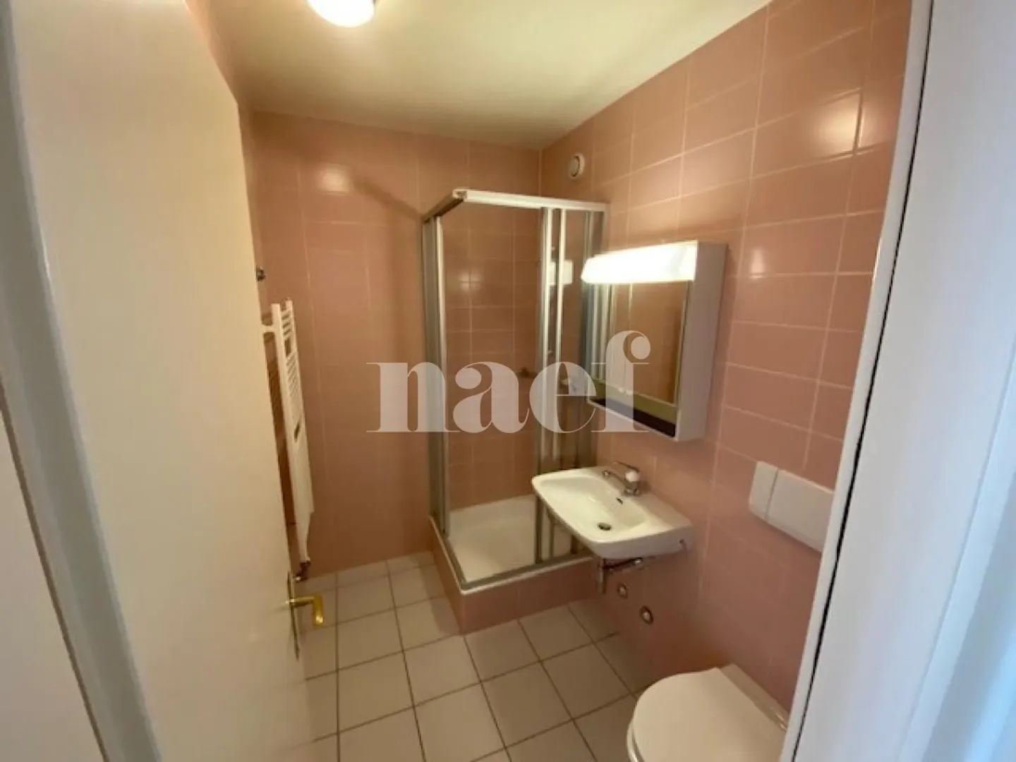 Appartamento 5 locali con grande balcone a Carouge - Foto 9 di 11