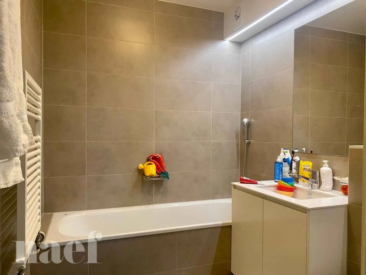 Nel cuore del vecchio Carouge - Ristrutturato con giardino - Foto 12 di 13