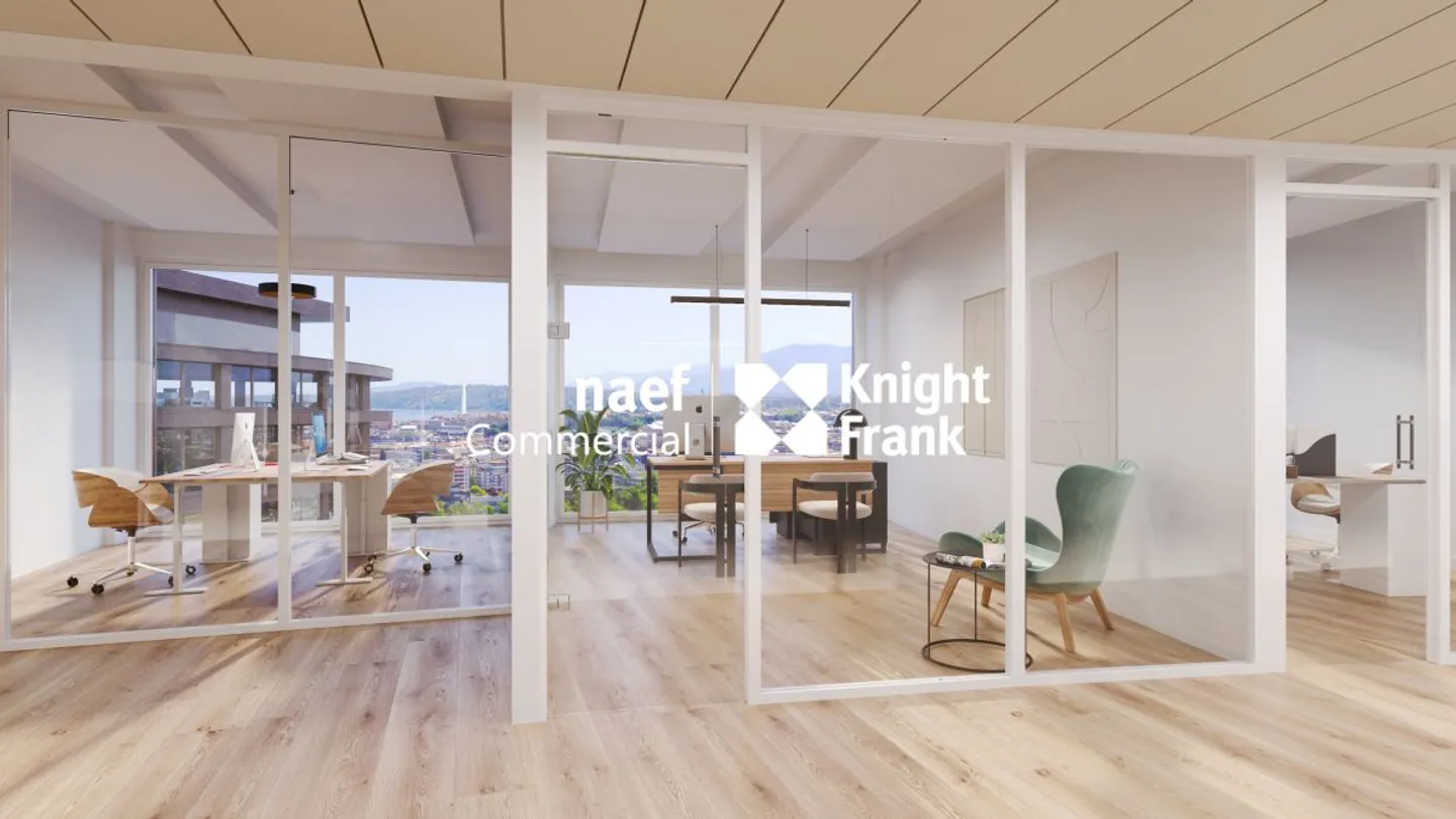 Lancy - ultimo piano in affitto, 517 m² di uffici divisibili a partire da 165 m² - Foto 8 di 12