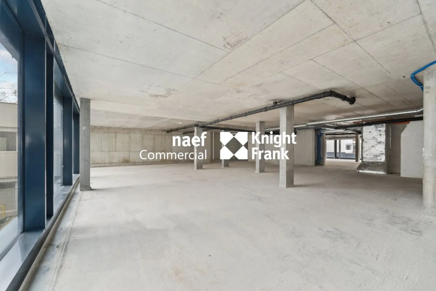 Petit-Saconnex - Bureau d'environ 736 m² divisible dès 304 m² - Photo 9 sur 12