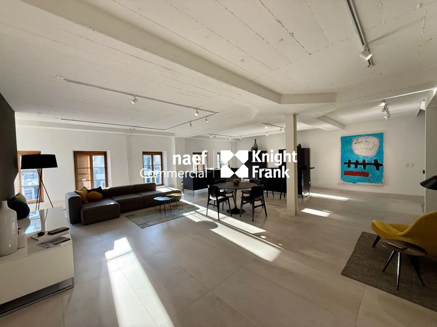 Magnifica arcade su 3 livelli con uffici - Carouge - Foto 3 di 7