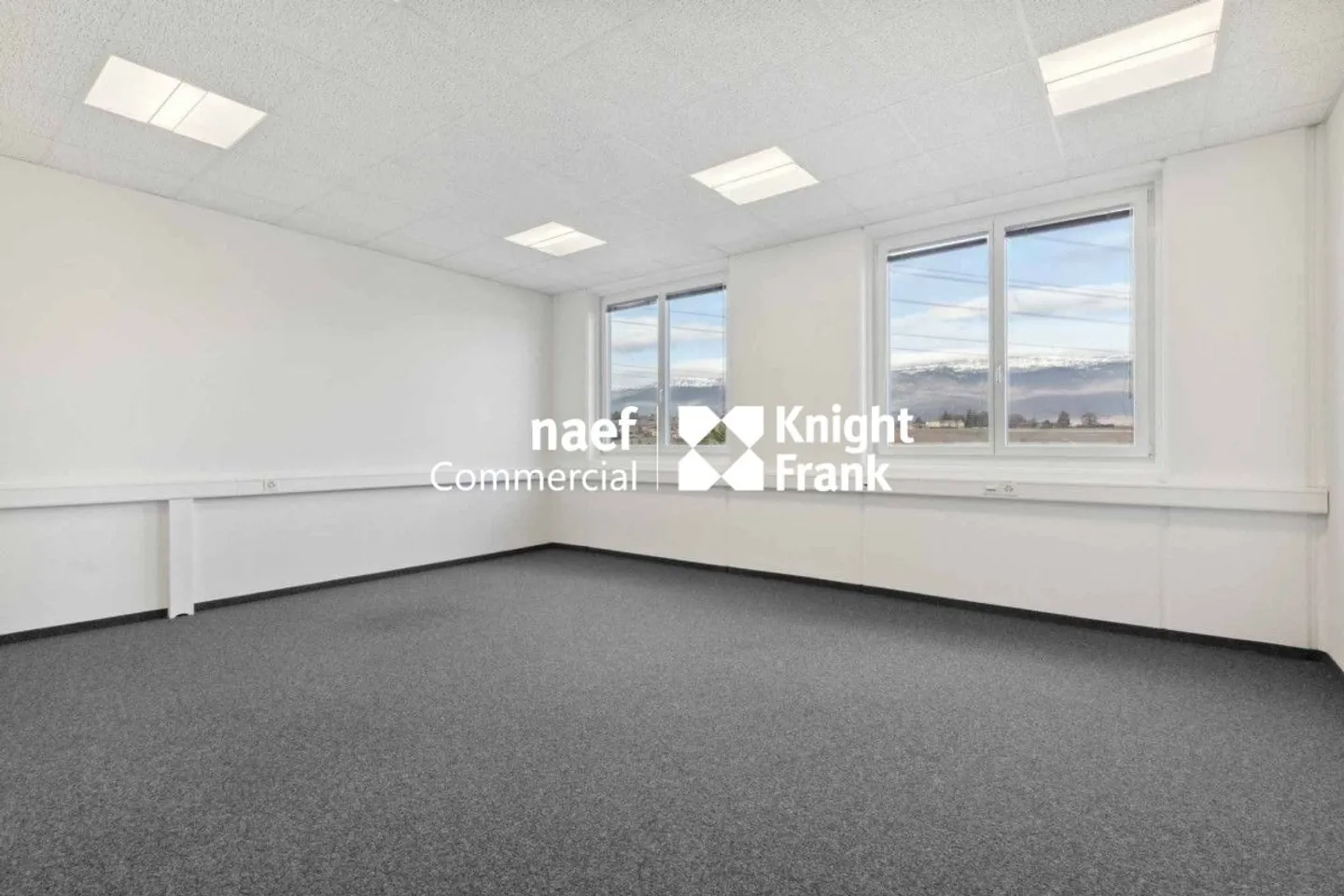 Superficie di 418 m² nella zona industriale ZIMEYSA di Meyrin - Foto 8 di 8