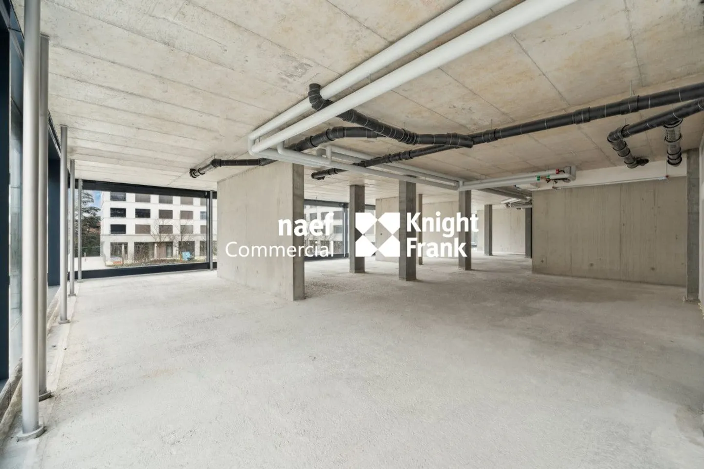 Petit-Saconnex - Bureau d'environ 413 m² - Photo 4 sur 13