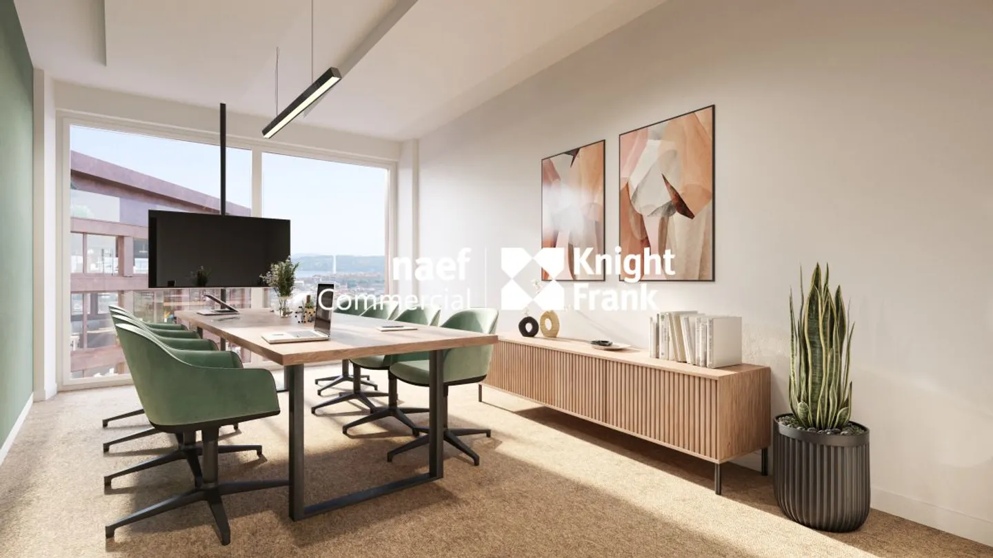 Lancy - ultimo piano in affitto, 517 m² di uffici divisibili a partire da 165 m² - Foto 7 di 12