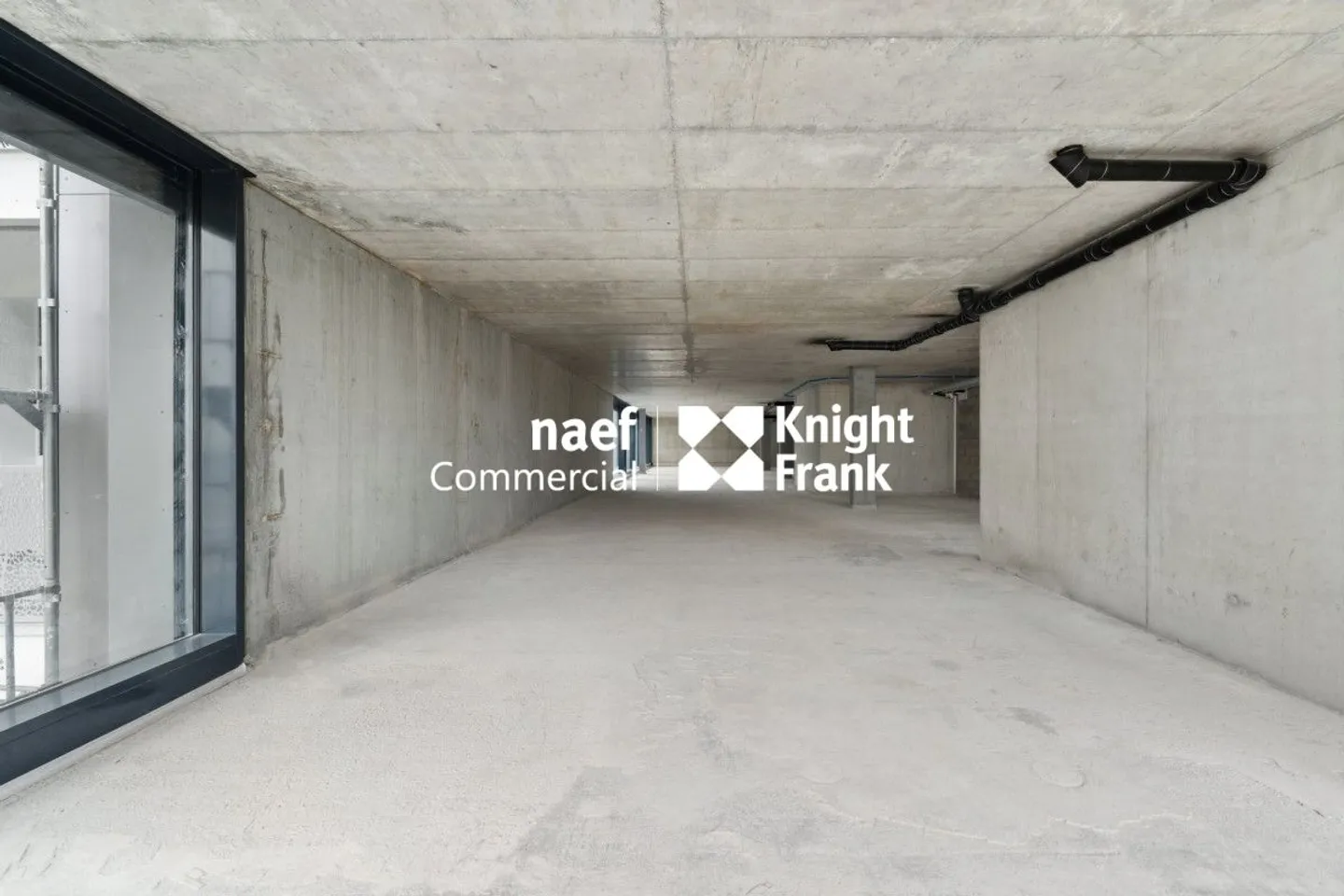 Petit-Saconnex - Bureau d'environ 413 m² - Photo 9 sur 13