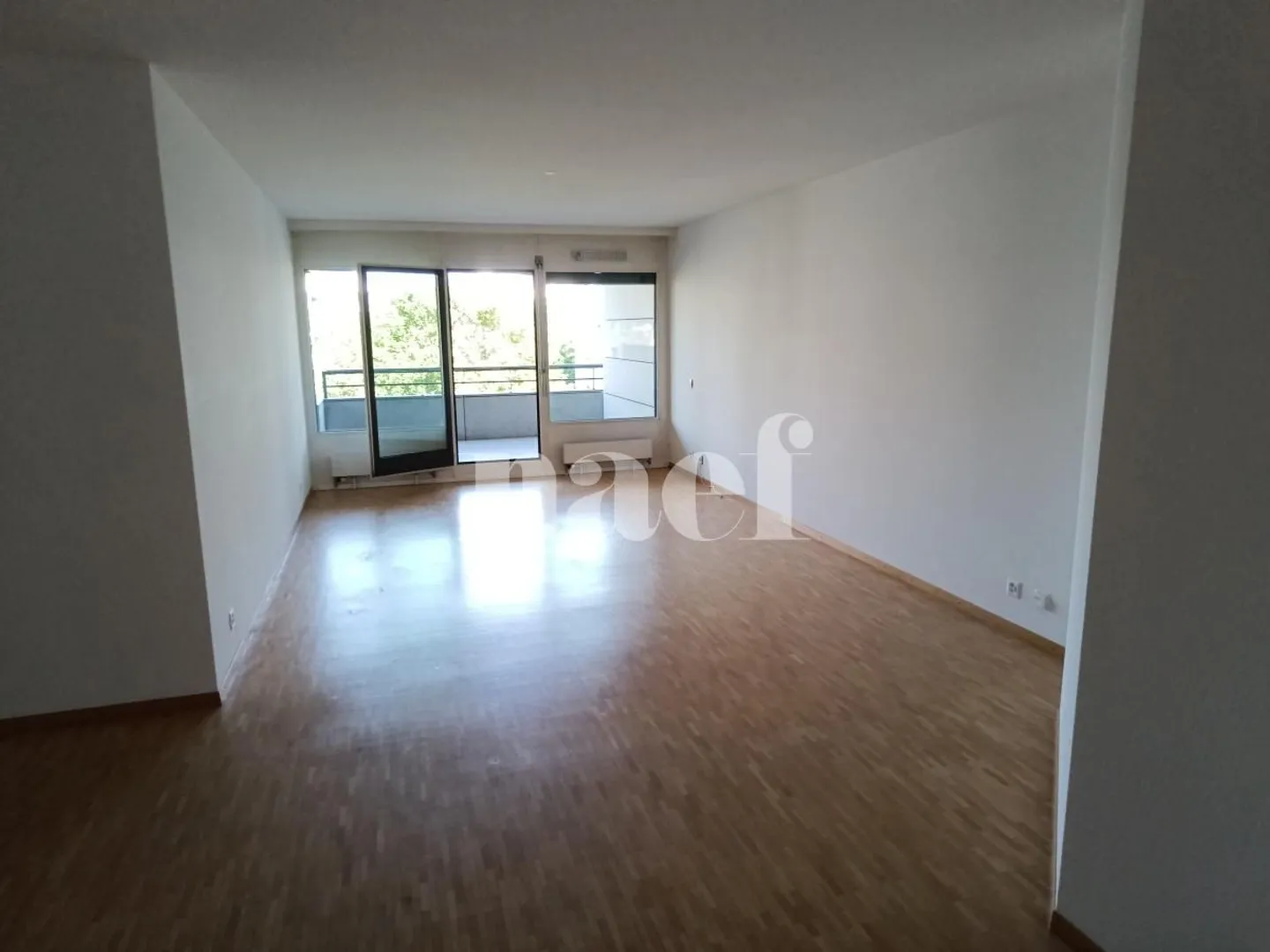 Bellissimo appartamento nel quartiere di Malagnou - Foto 4 di 11