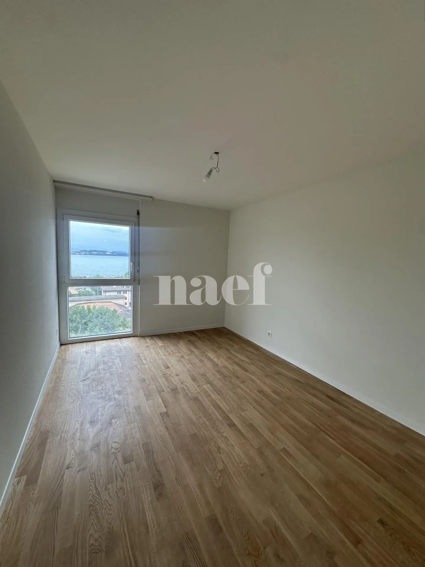 Renovated Apartment with Lake View - Photo 8 of 10