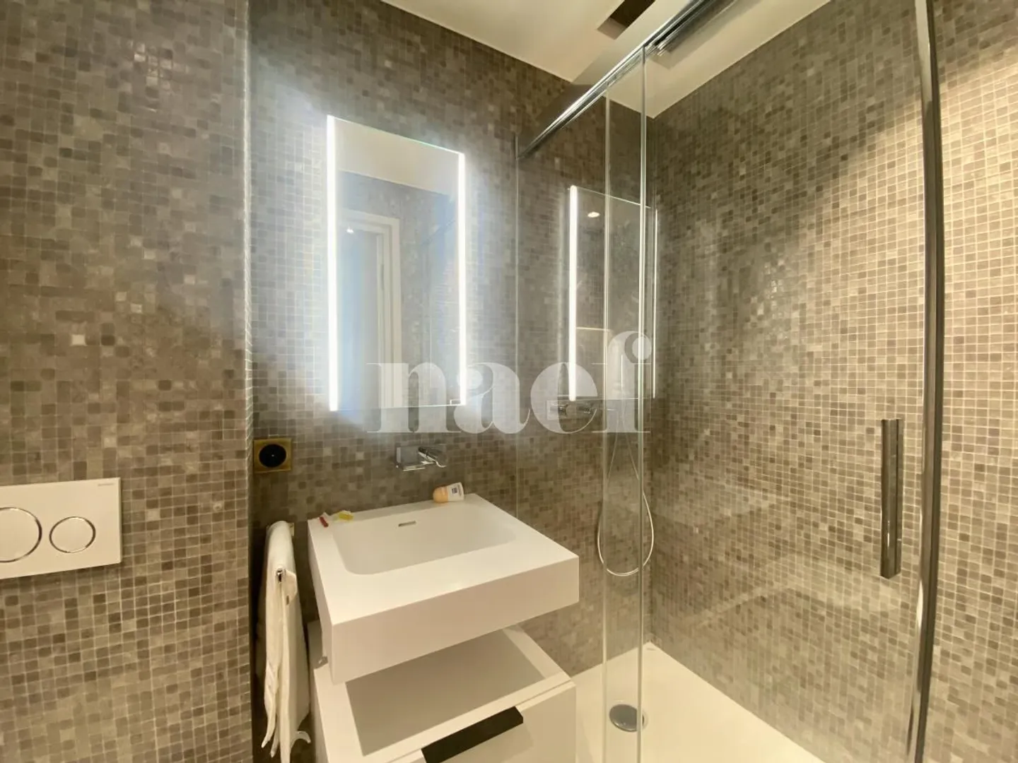 Spazioso appartamento di 2 stanze nel cuore della Città Vecchia di Ginevra - Foto 4 di 9