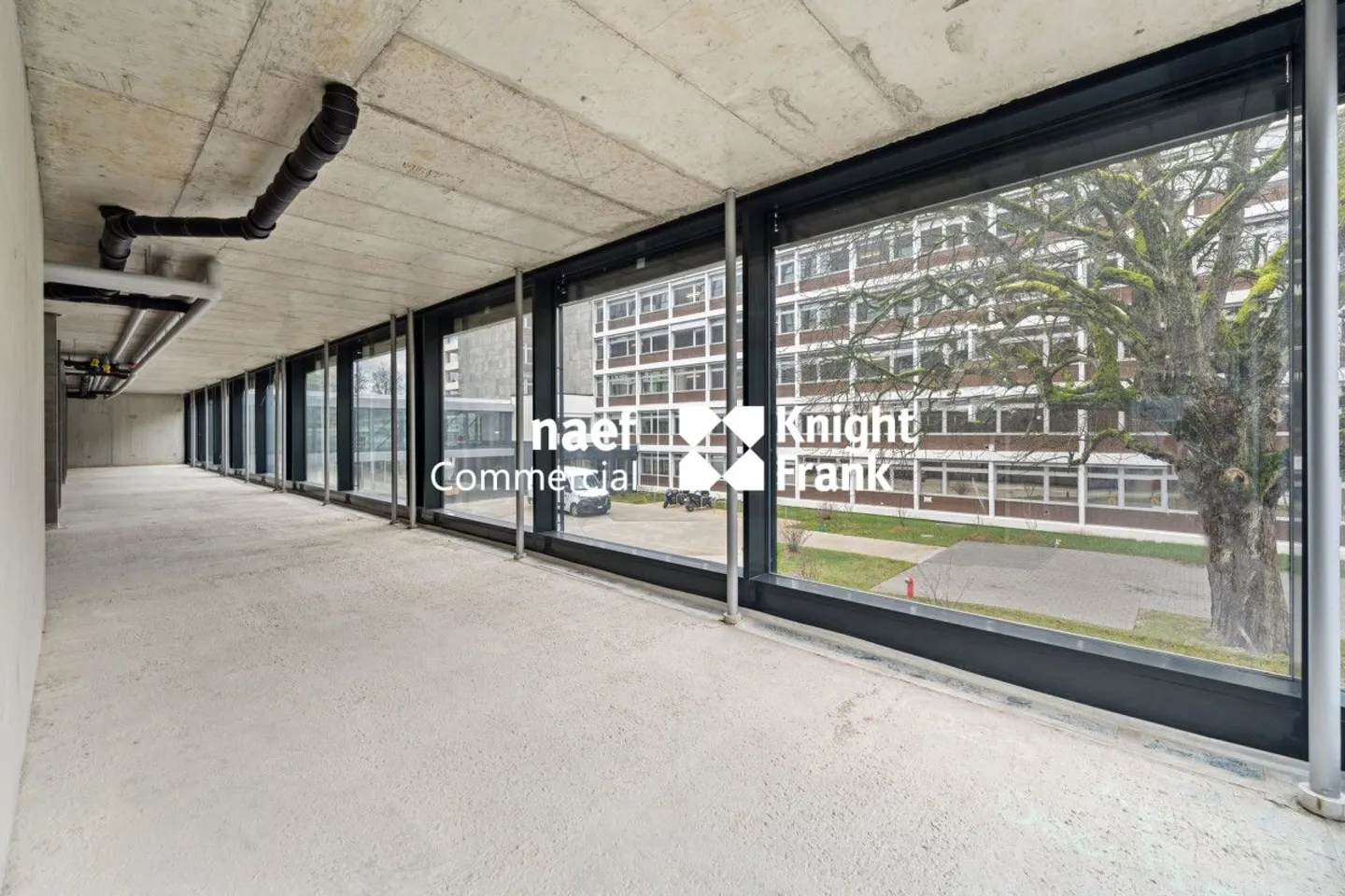 Petit-Saconnex - Bureau d'environ 413 m² - Photo 13 sur 13