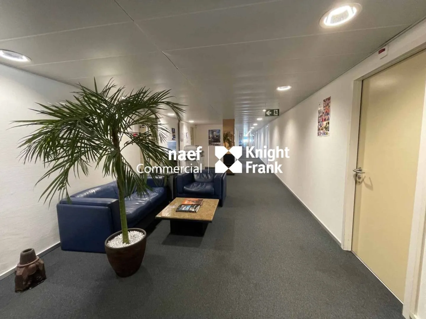 Rue de Lausanne - Bureaux de 640 m² - Photo 5 sur 12