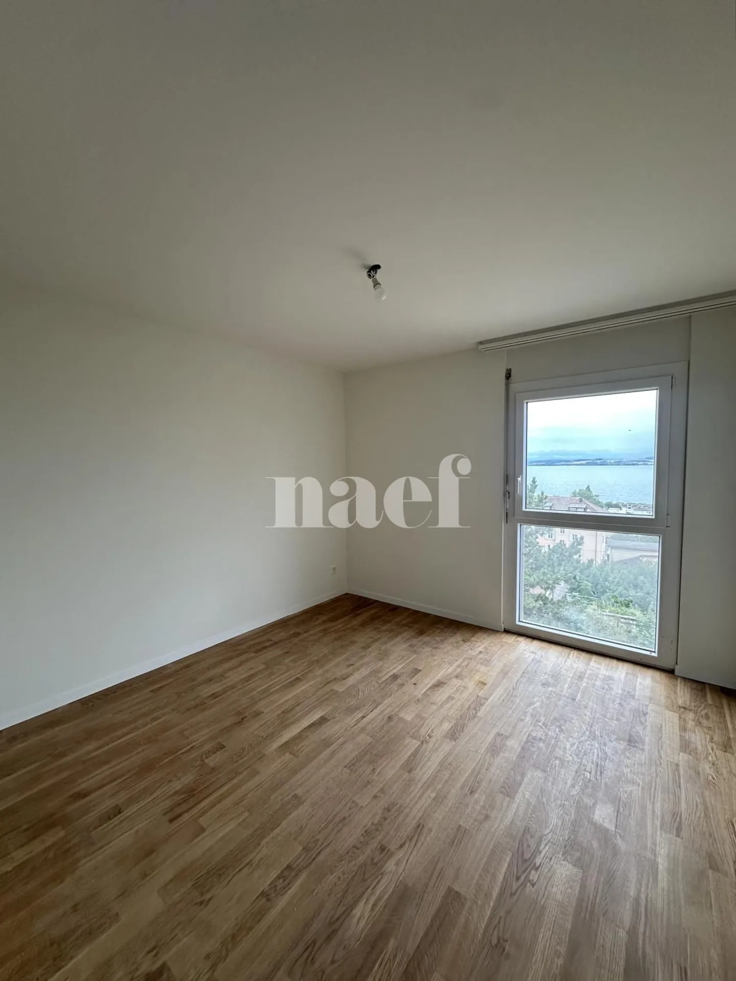 Renovated Apartment with Lake View - Photo 9 of 10