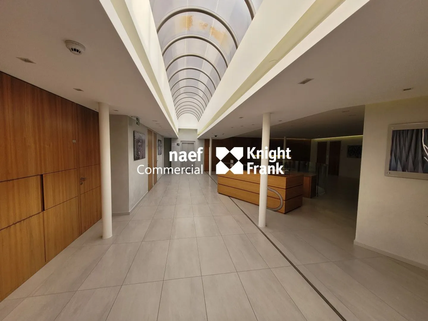 Malagnou - Bureau de 485 m² au rez-supérieur - Photo 2 sur 11