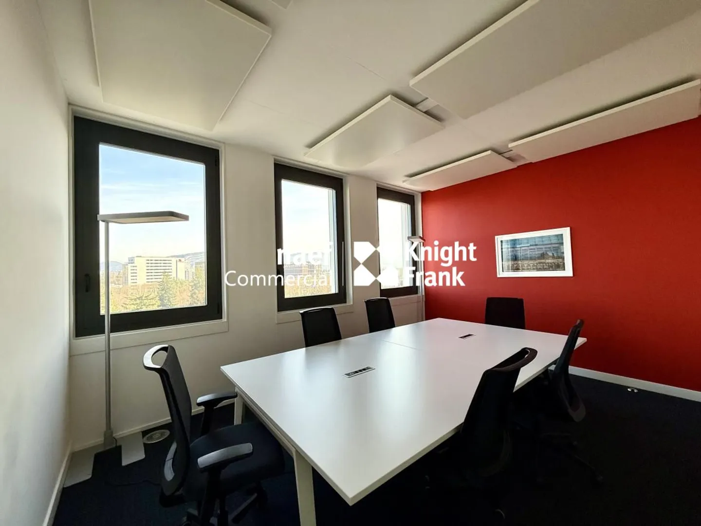 Superb furnished offices of 400m2 - Mont-Blanc view - Close to Airport - Photo 3 of 8
