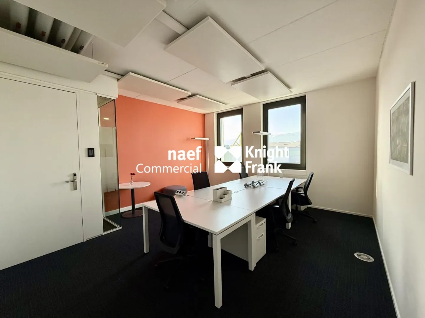 Superb furnished offices of 400m2 - Mont-Blanc view - Close to Airport - Photo 6 of 8