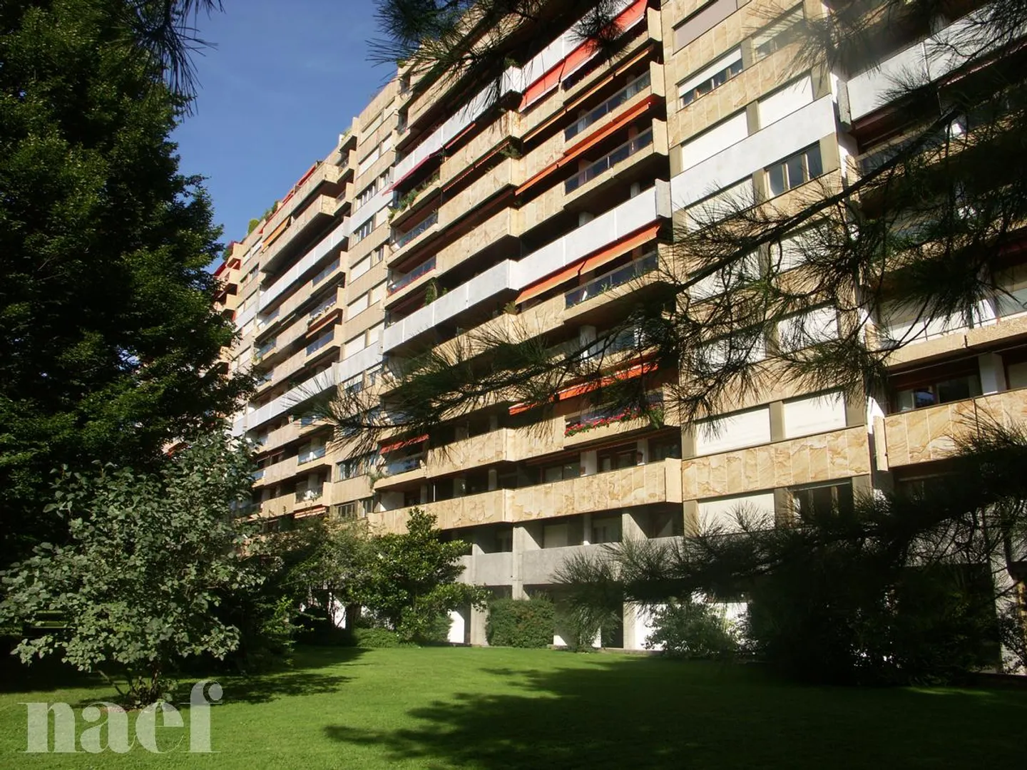 Grand Appartement avec Loggia - Photo 1 sur 7