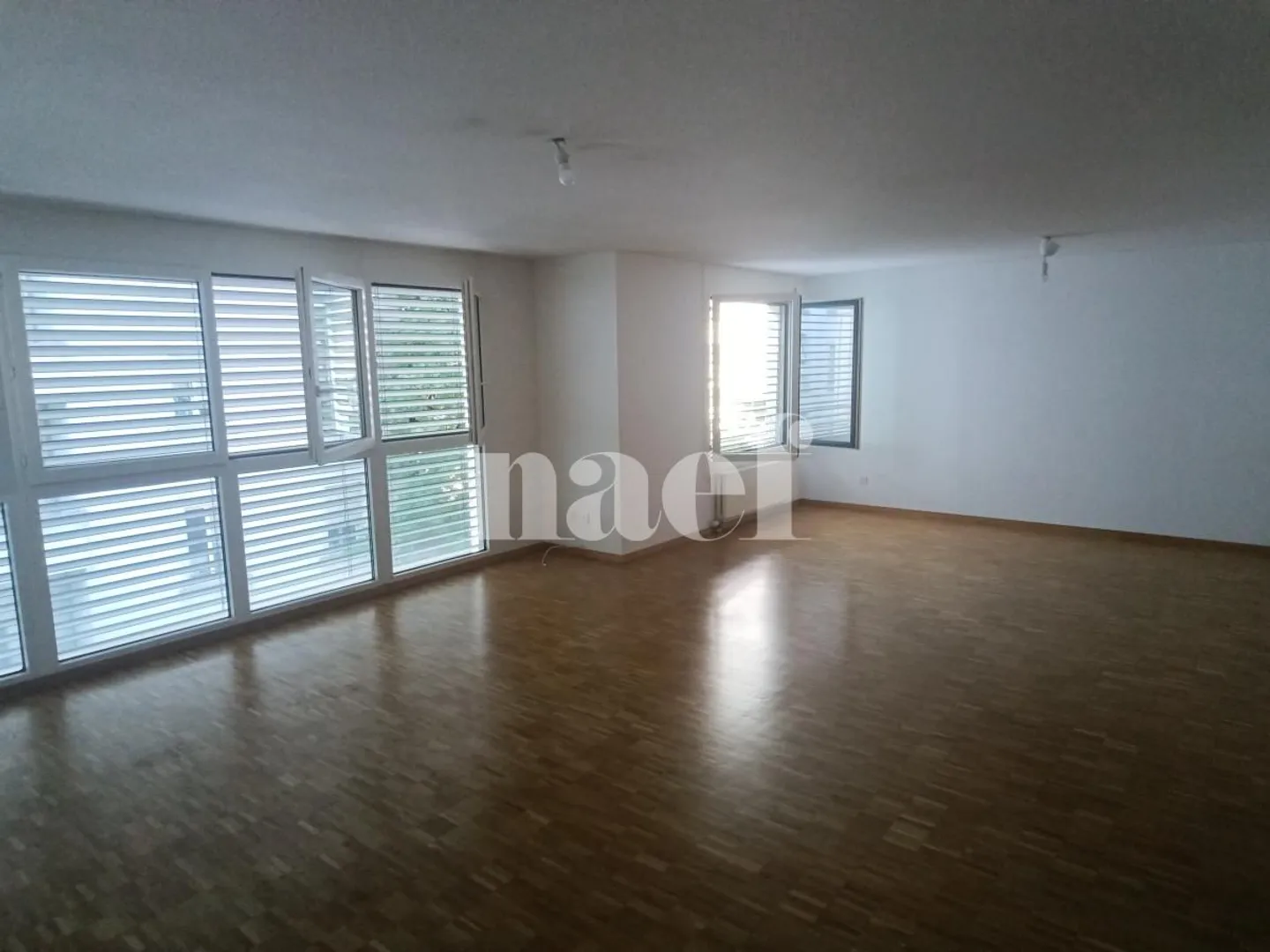 Ampio appartamento di 7 stanze - Foto 4 di 10