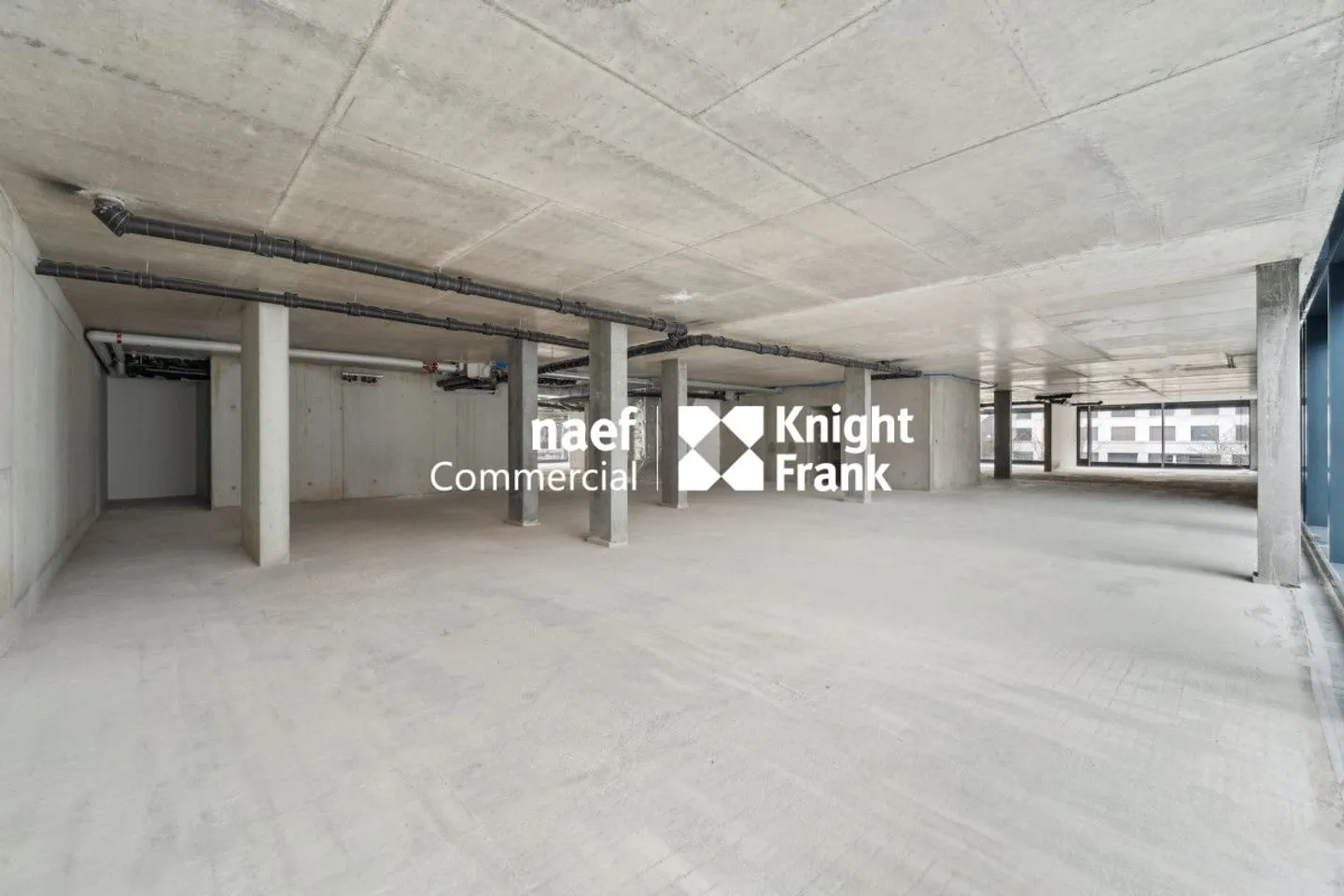 Petit-Saconnex - Bureau d'environ 736 m² divisible dès 304 m² - Photo 5 sur 12