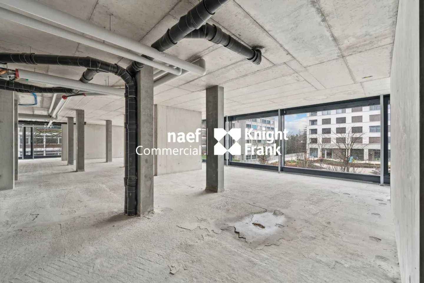 Petit-Saconnex - Bureau d'environ 413 m² - Photo 7 sur 13