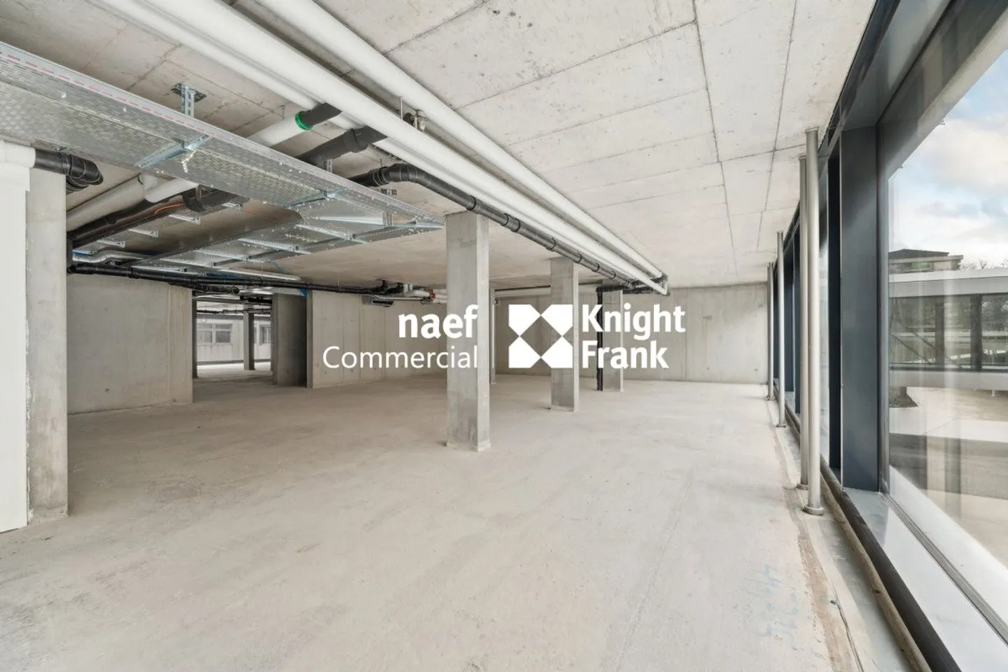 Petit-Saconnex - Bureau d'environ 413 m² - Photo 12 sur 13