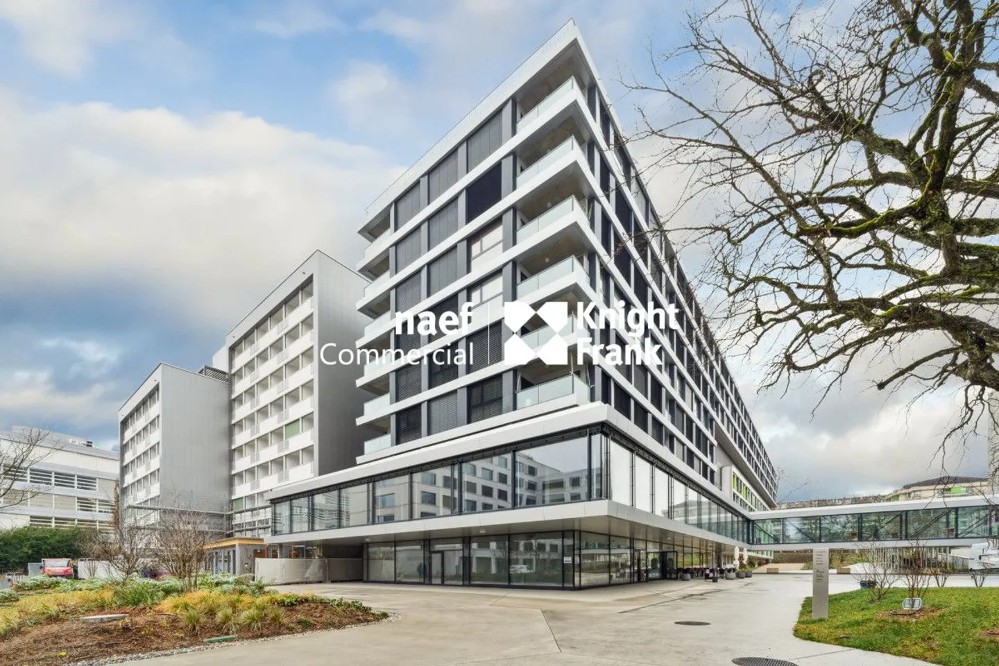 Petit-Saconnex - Bureau d'environ 736 m² divisible dès 304 m² - Photo 1 sur 12