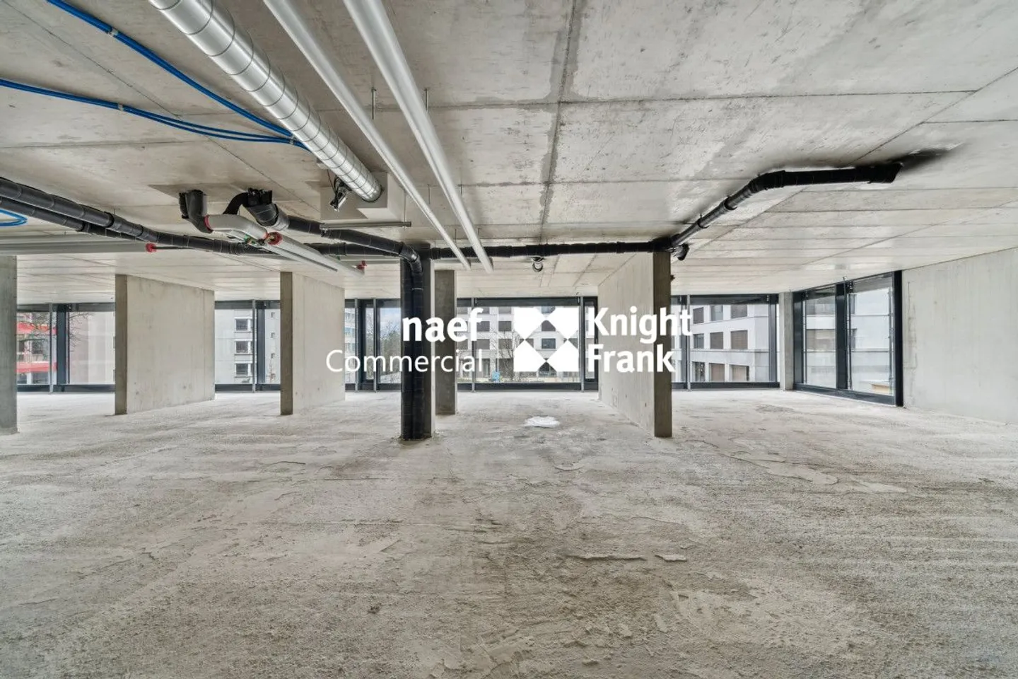 Petit-Saconnex - Bureau d'environ 736 m² divisible dès 304 m² - Photo 6 sur 12