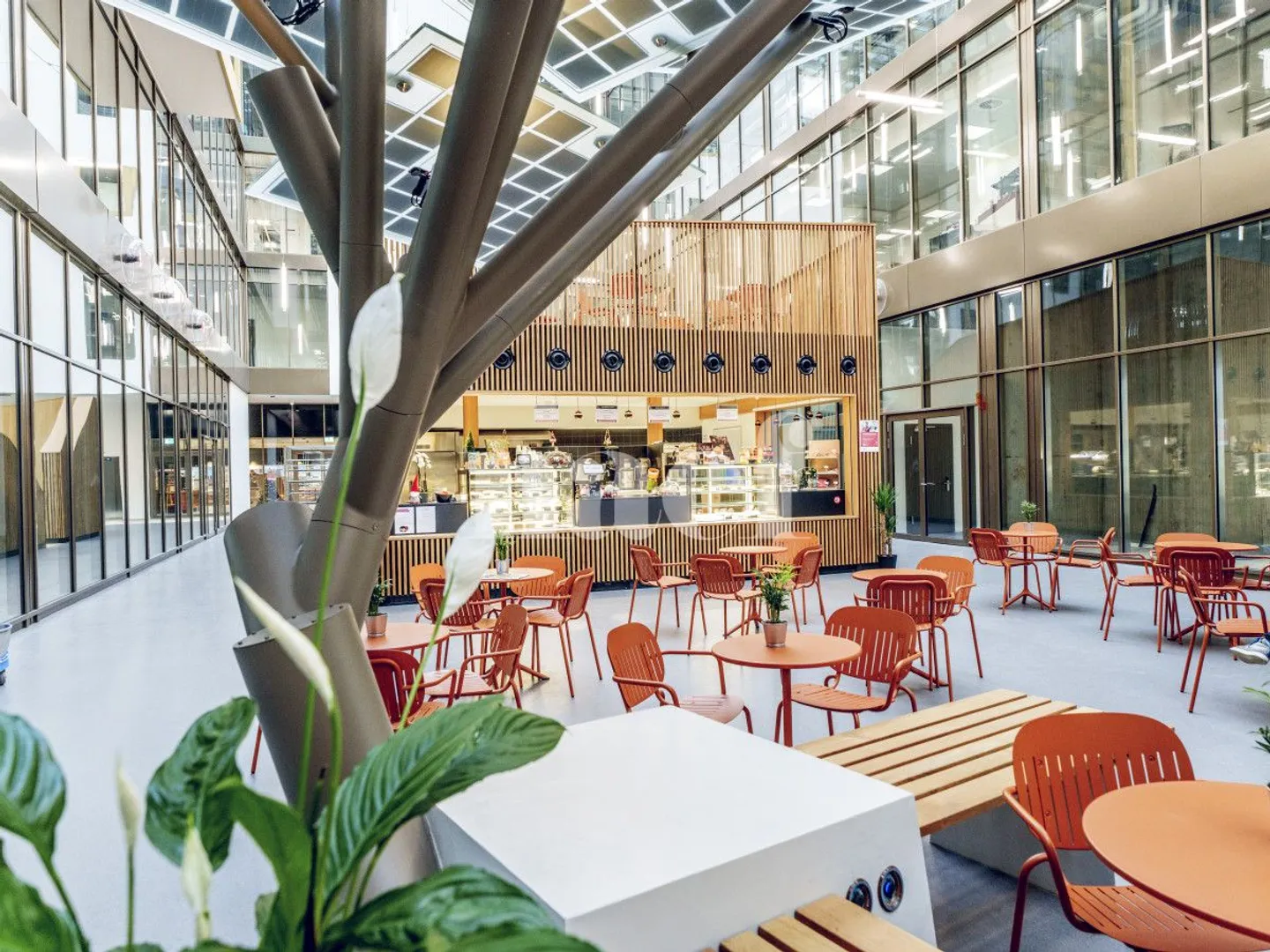 Surface industrielle au rez-de-chaussée d'env 623 m2 à à louer - Photo 2 sur 6