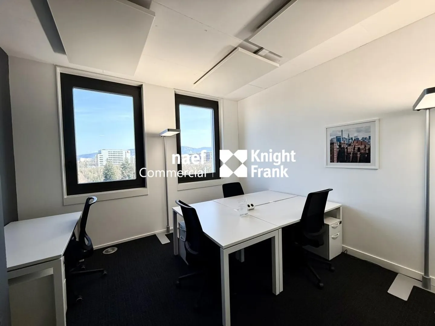 Superb furnished offices of 400m2 - Mont-Blanc view - Close to Airport - Photo 5 of 8