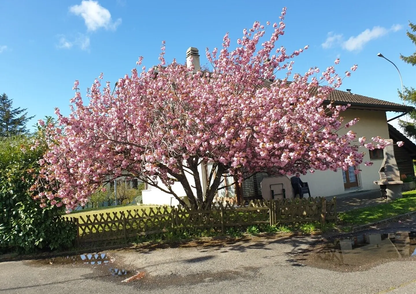 Villa familiare piena di potenziale - Foto 10 di 13