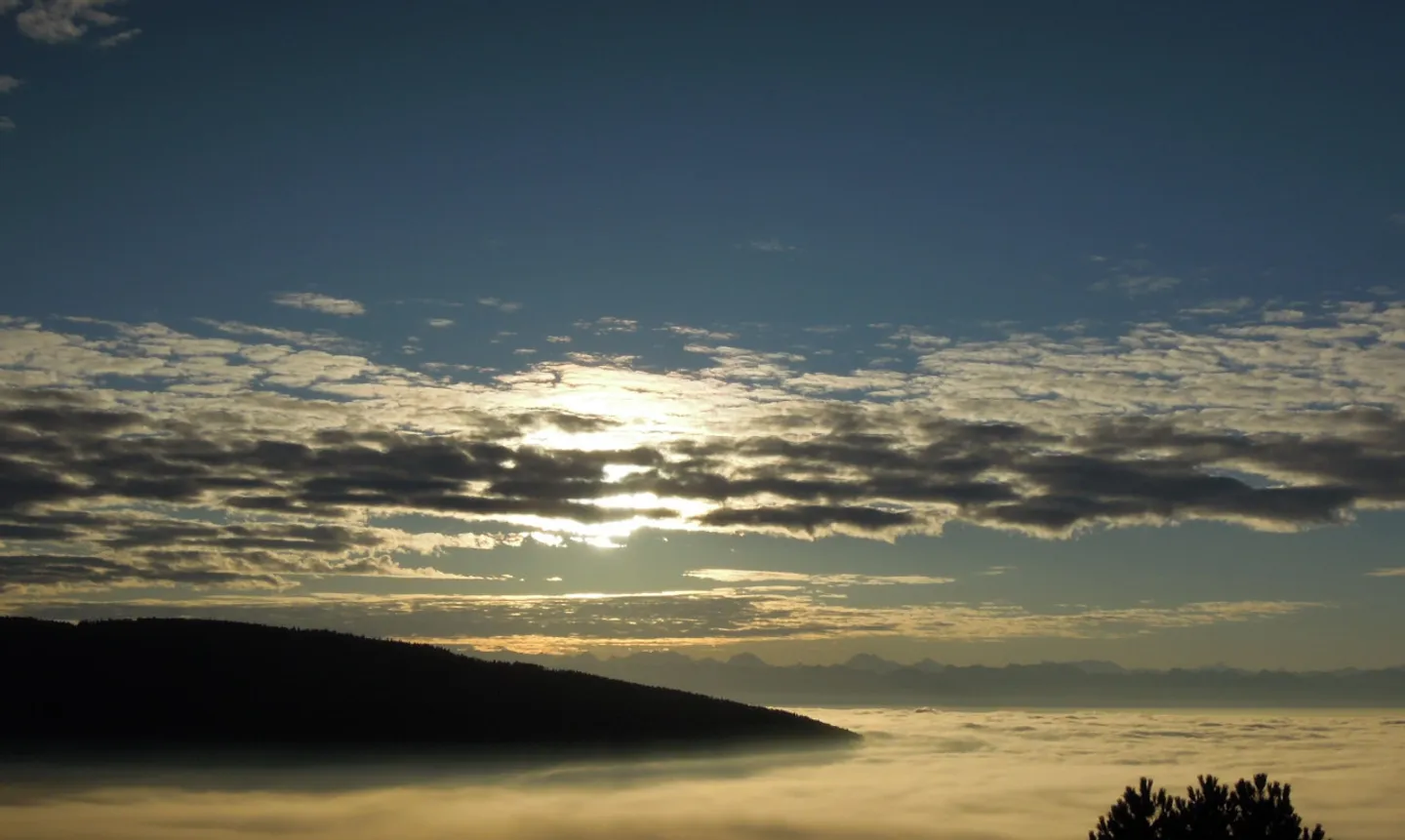 Charming Detached House with Studio - Photo 3 of 13