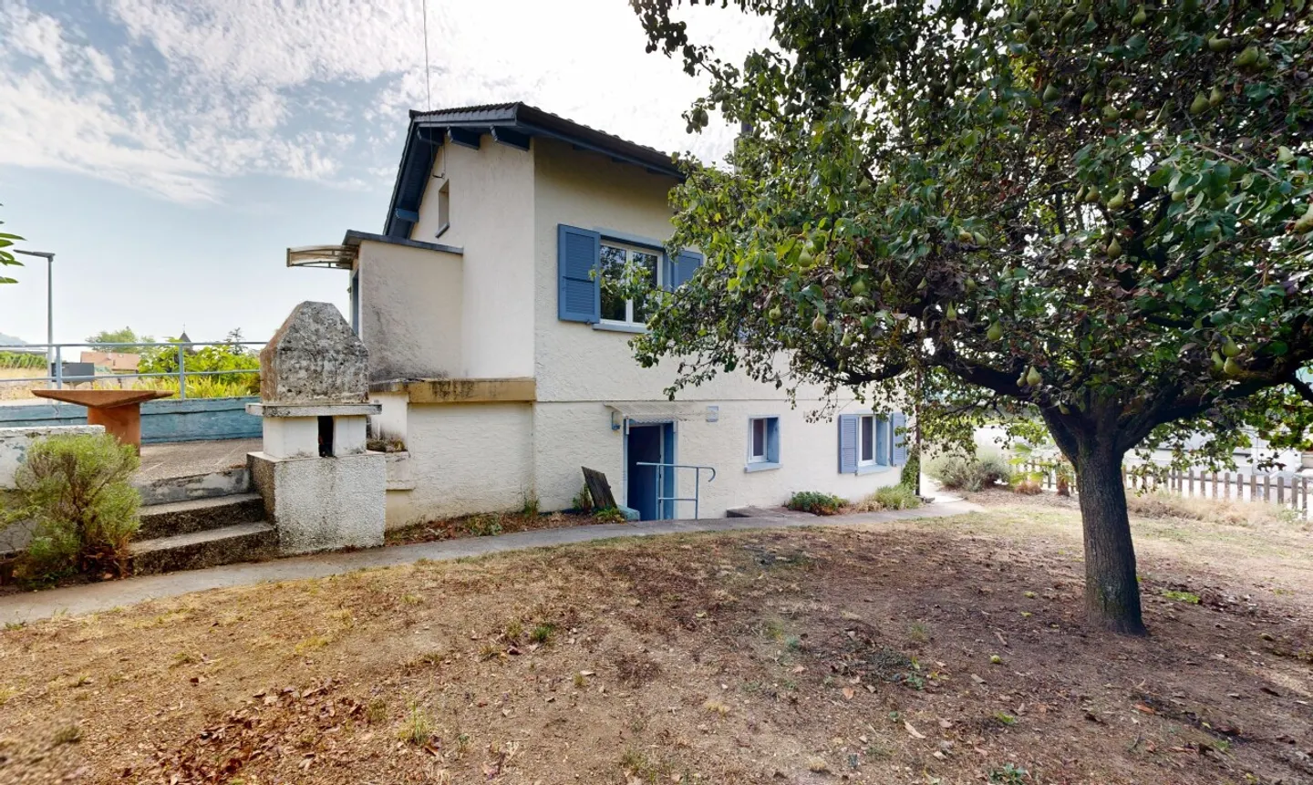5.5-room house in Landeron with vineyards on a 1545m² plot - Photo 7 of 11