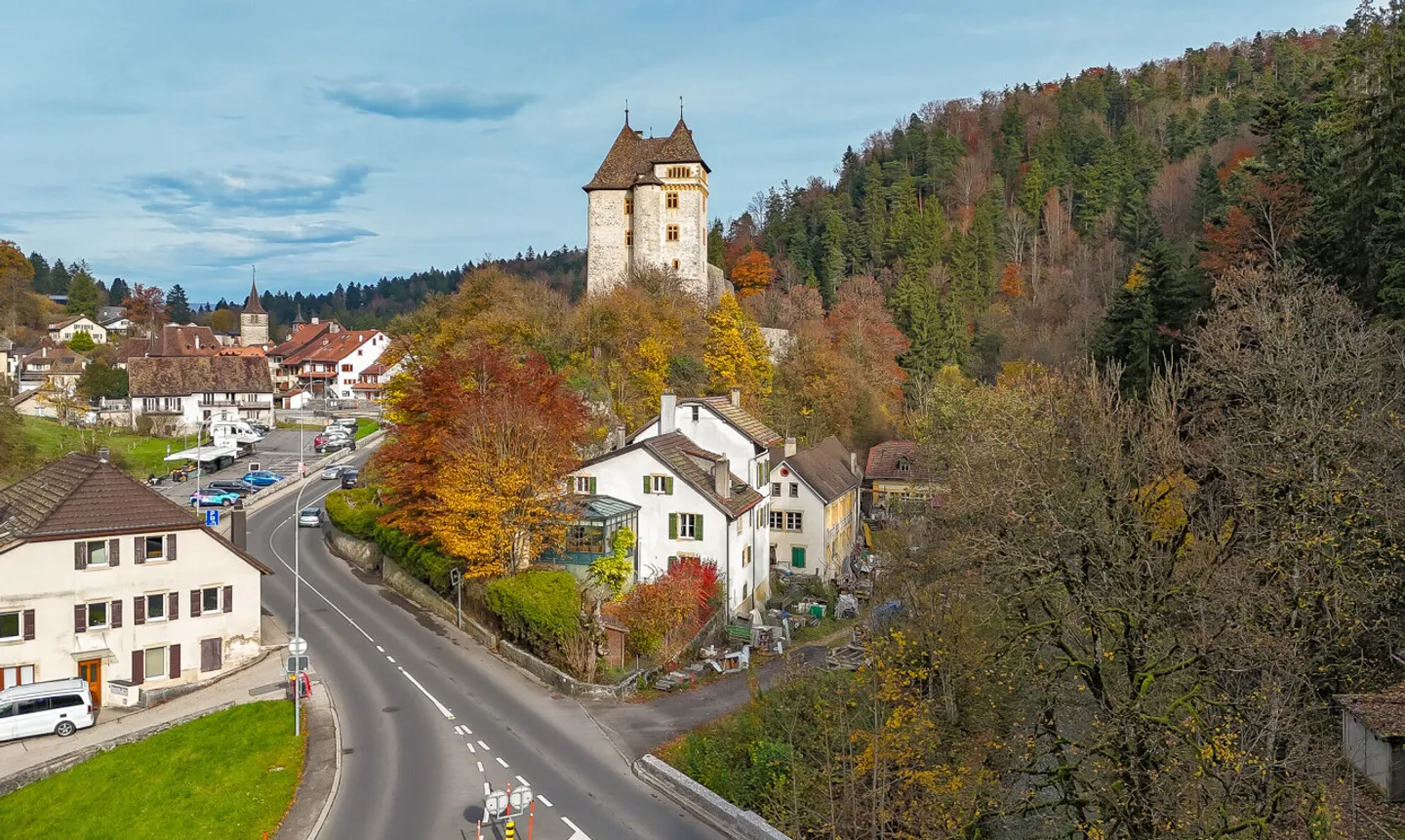 Casa familiare con 2 unità, grande giardino e vista sulla foresta - Foto 3 di 11