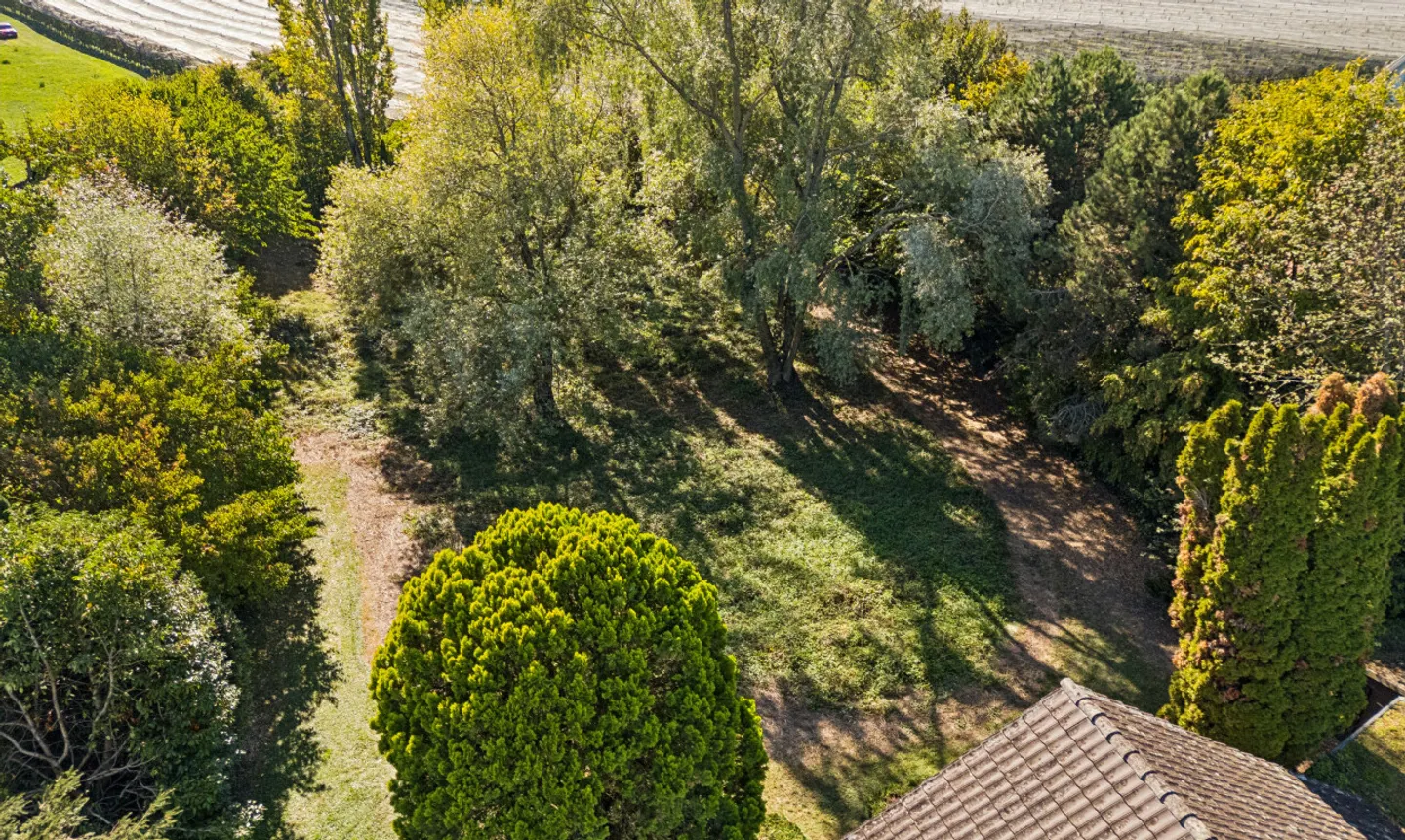 Unique rarity on Lake Constance – exclusive lakeside property in Kesswil - Photo 9 of 11