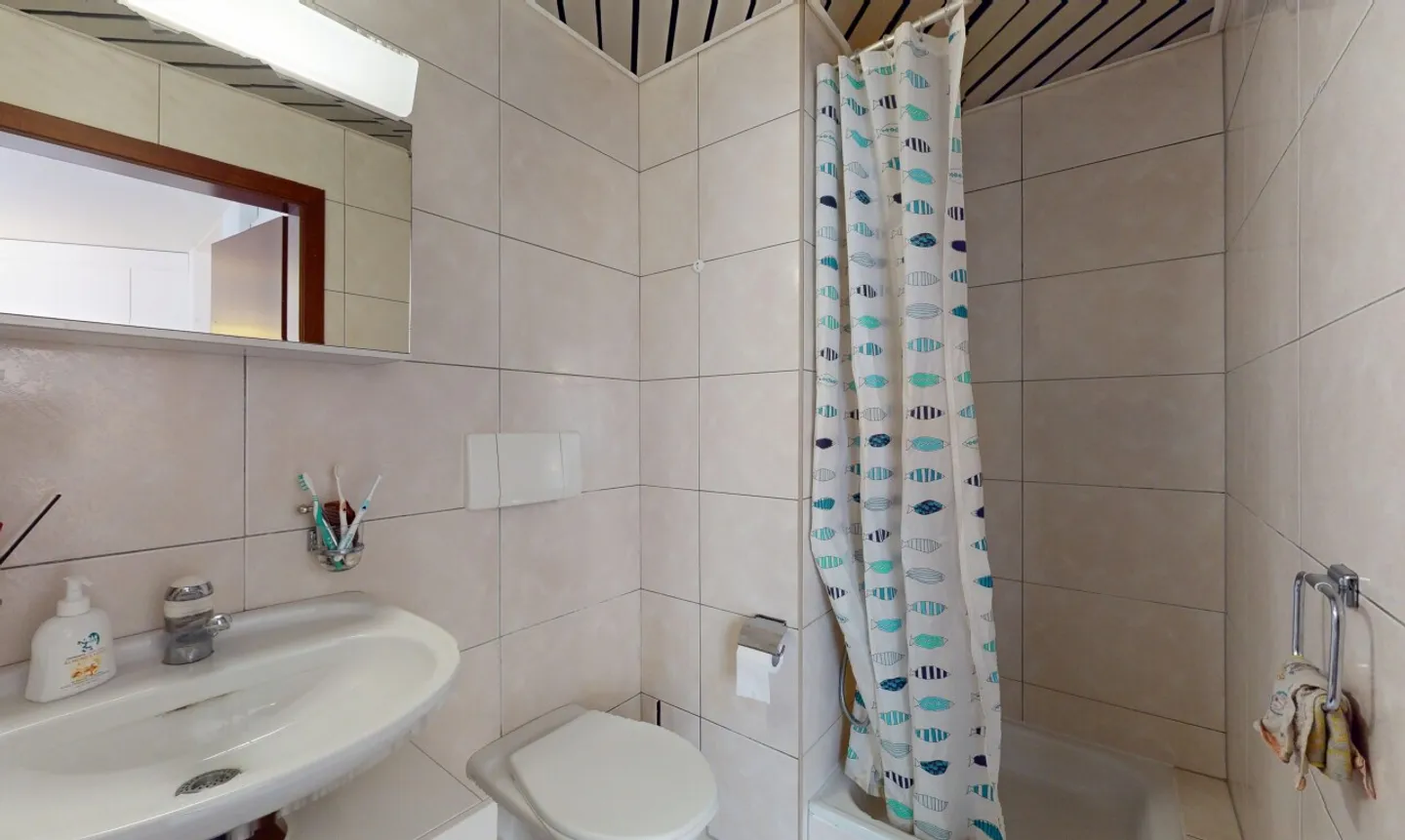 Appartamento ristrutturato di 4,5 locali con vista sul lago! - Foto 11 di 13