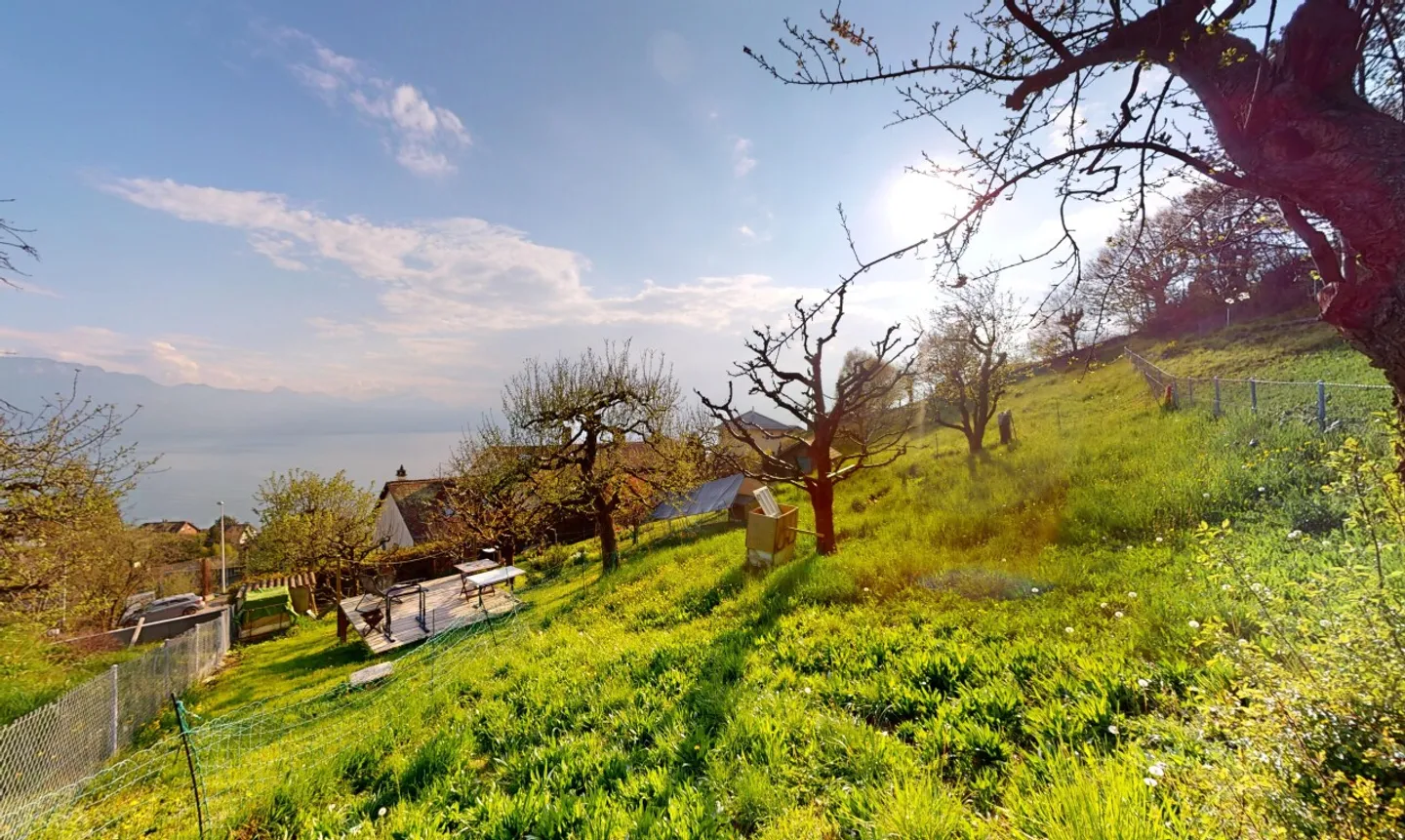 Terreno edificabile con vista panoramica sul lago e sulle Alpi - Foto 2 di 13