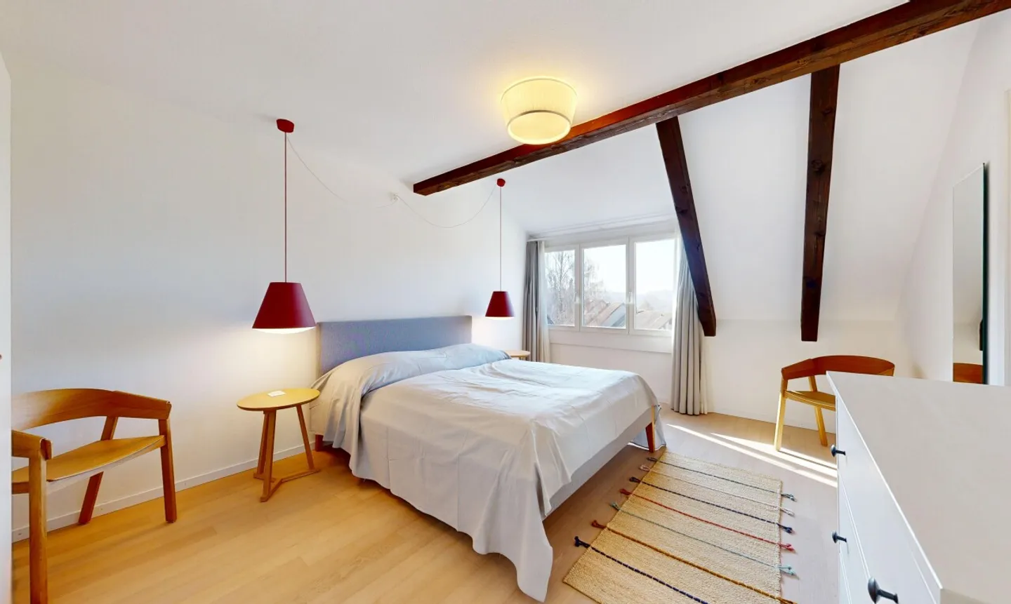 Attico luminoso a Zurigo - Foto 10 di 11