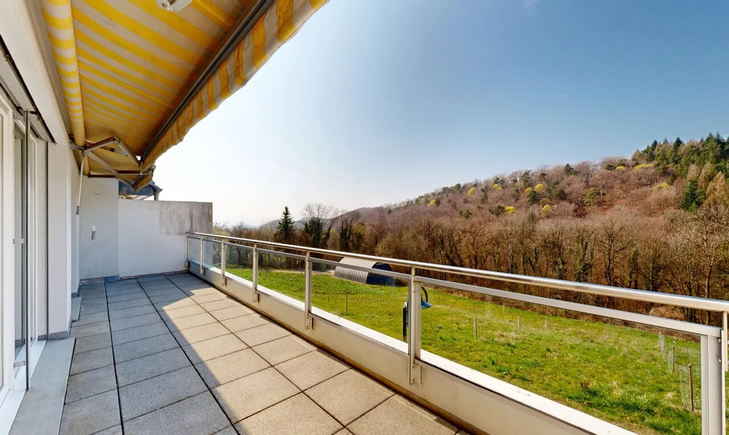 Vor einem Obstgarten und dem Wald - Foto 4 von 13