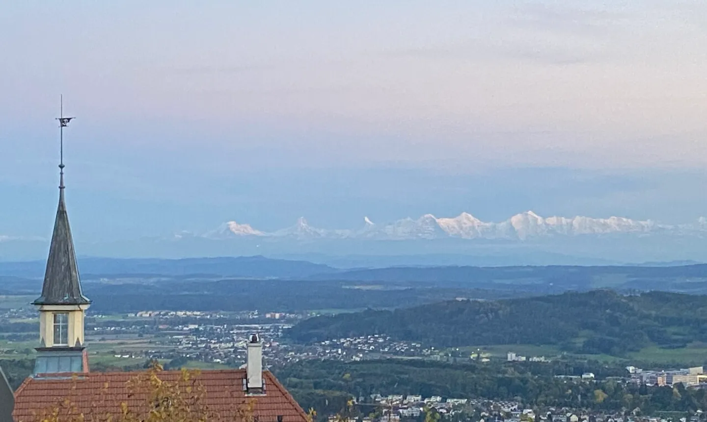 Grosszügige Attikawohnung mit Alpenblick - Foto 3 von 11