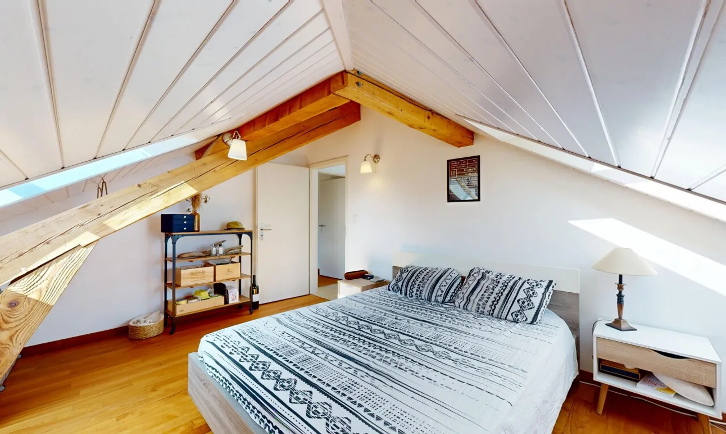 "Coup de coeur" Apartment - Top Floor in the Center of Lausanne - Photo 7 of 11