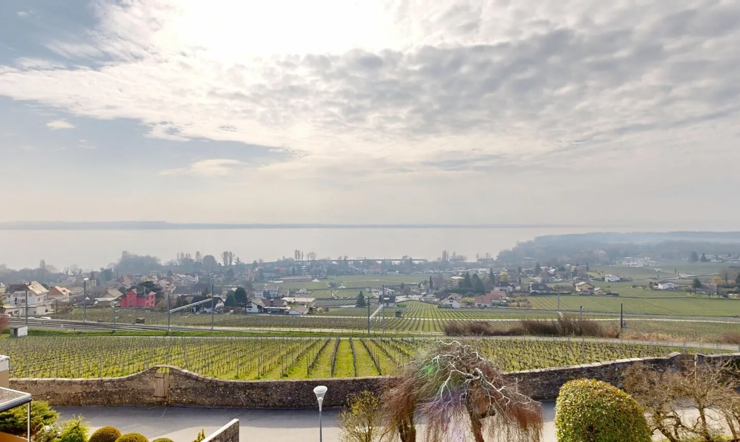 Magnificent Villa with Lake View - Photo 2 of 11